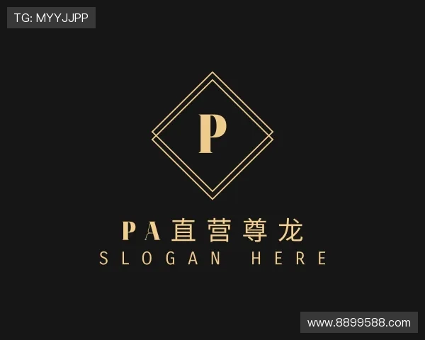 认识PA尊龙